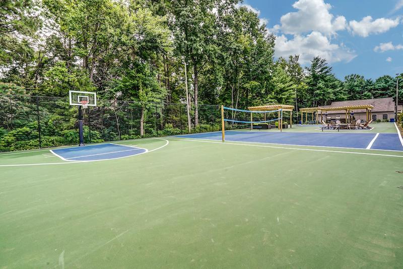 Large green court with a basketball hoop, volleyball net, and a forest in the background